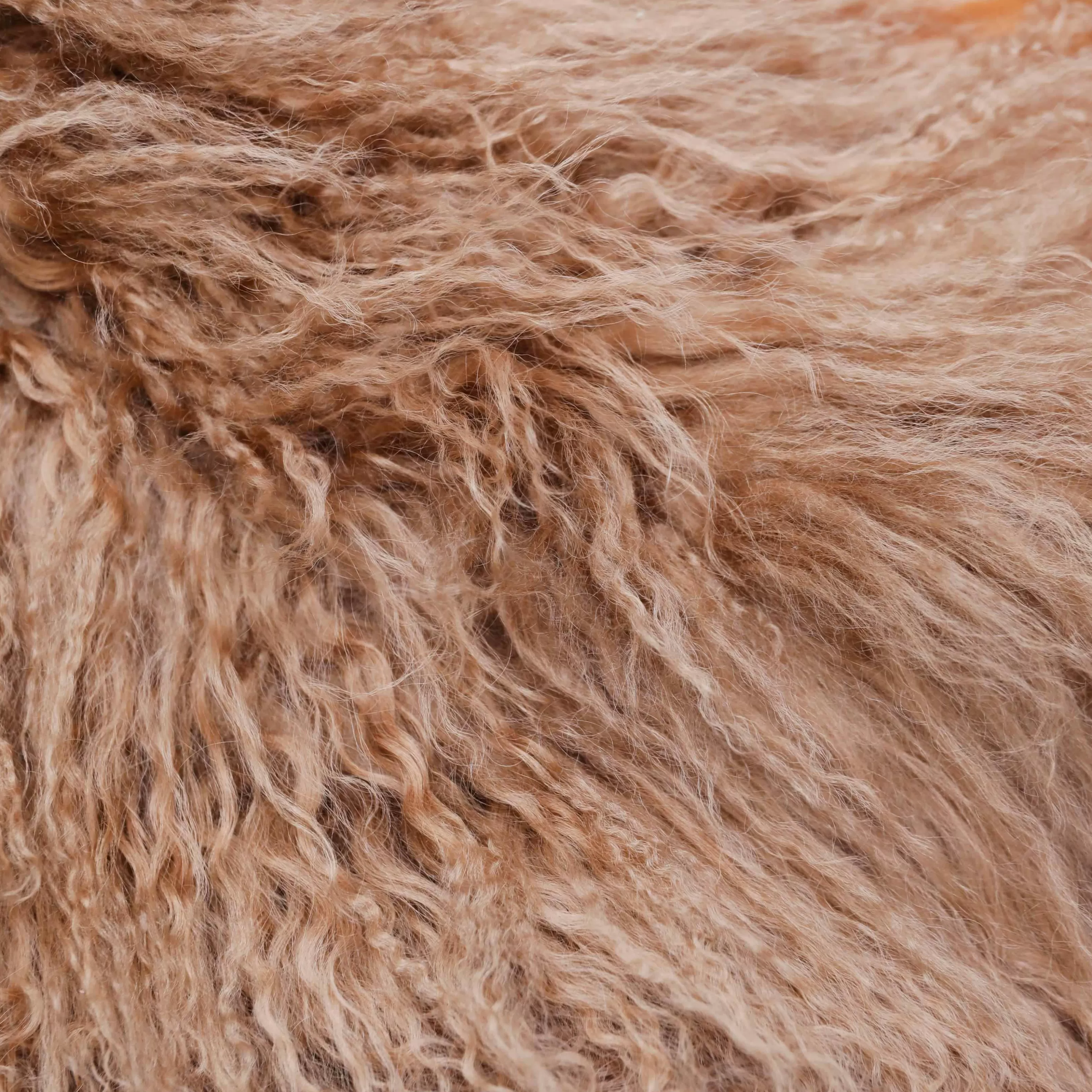 brown_shearling_jacket_10530.webp Online Shearling Jacket Outerwear